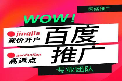百度SEM优化案例：精准引流提升转化率